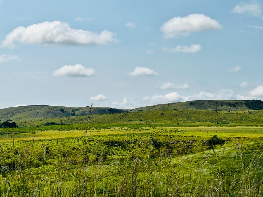 0 Bedroom Property for Sale in Dargle KwaZulu-Natal