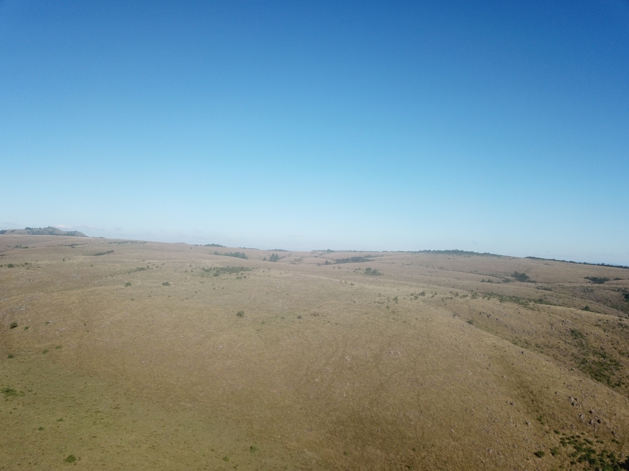 0 Bedroom Property for Sale in Dargle KwaZulu-Natal