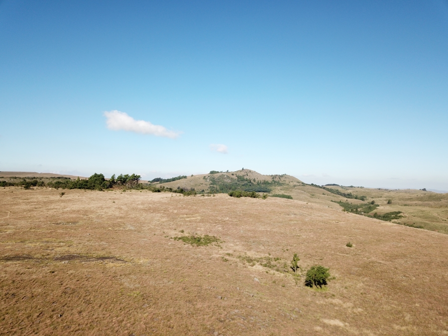 0 Bedroom Property for Sale in Dargle KwaZulu-Natal