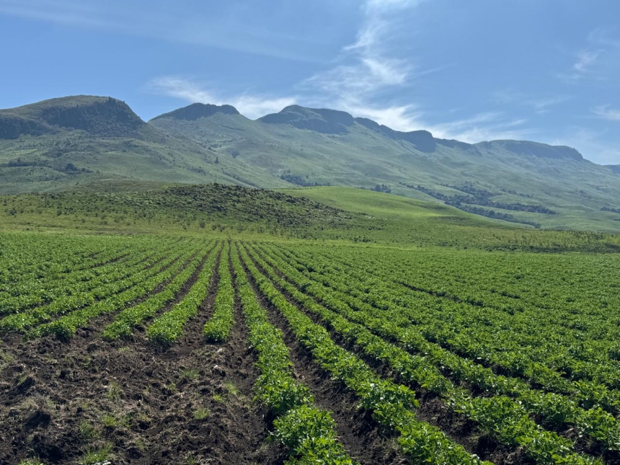 0 Bedroom Property for Sale in Dargle KwaZulu-Natal