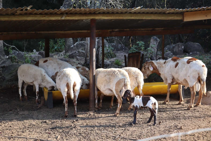 3 Bedroom Property for Sale in Karkloof Estate KwaZulu-Natal