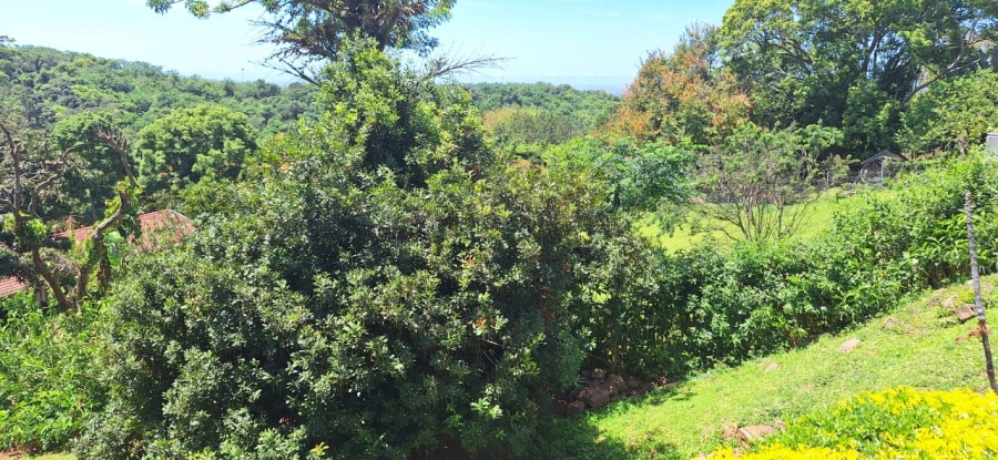 To Let 3 Bedroom Property for Rent in Westville Central KwaZulu-Natal