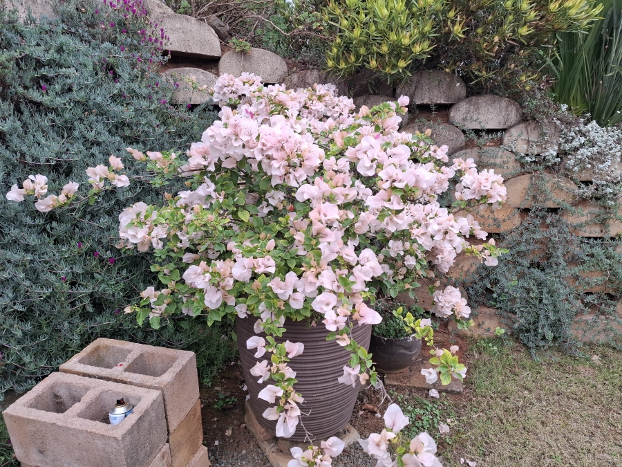 2 Bedroom Property for Sale in Albert Falls KwaZulu-Natal