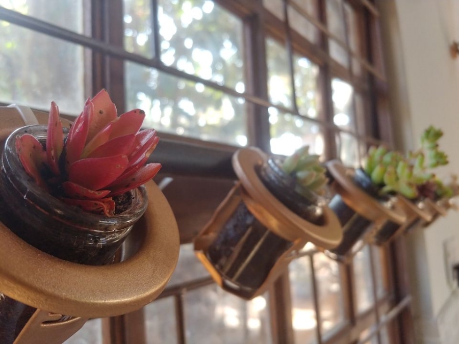 To Let 2 Bedroom Property for Rent in Crestholme KwaZulu-Natal