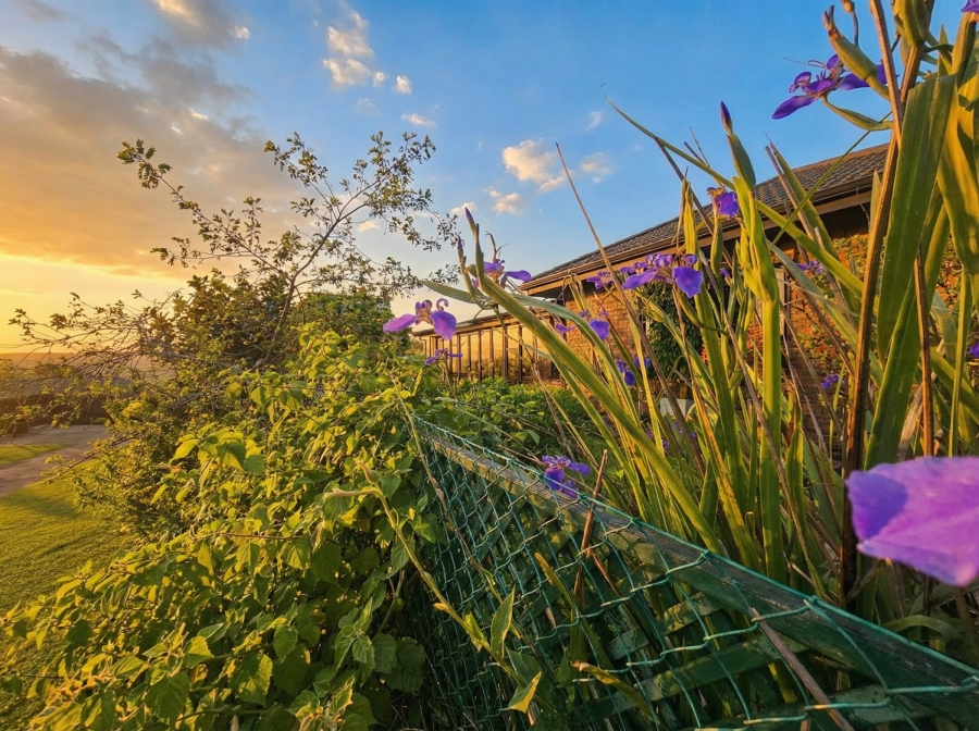 3 Bedroom Property for Sale in Amber Ridge KwaZulu-Natal