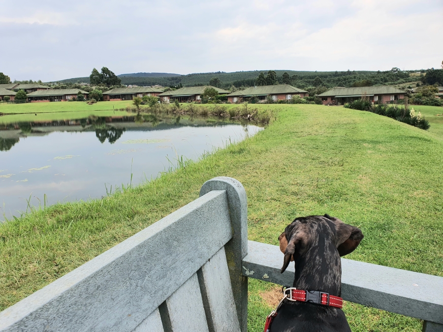 3 Bedroom Property for Sale in Amber Ridge KwaZulu-Natal