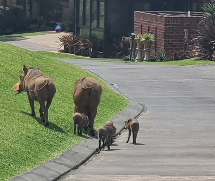 3 Bedroom Property for Sale in Amber Ridge KwaZulu-Natal