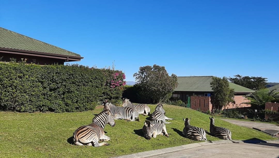 3 Bedroom Property for Sale in Amber Ridge KwaZulu-Natal