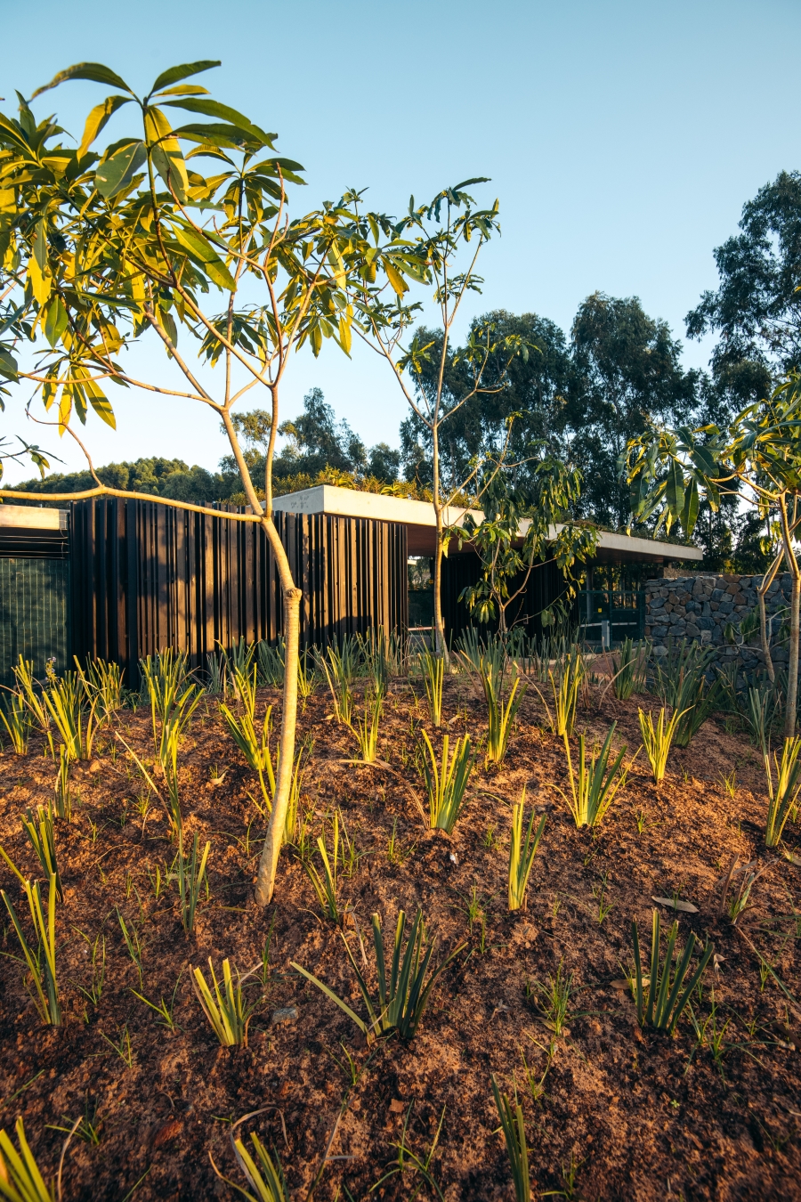 4 Bedroom Property for Sale in Elaleni Coastal Forest Estate KwaZulu-Natal