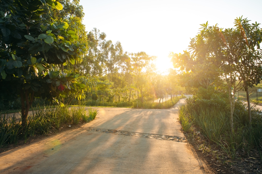 4 Bedroom Property for Sale in Elaleni Coastal Forest Estate KwaZulu-Natal