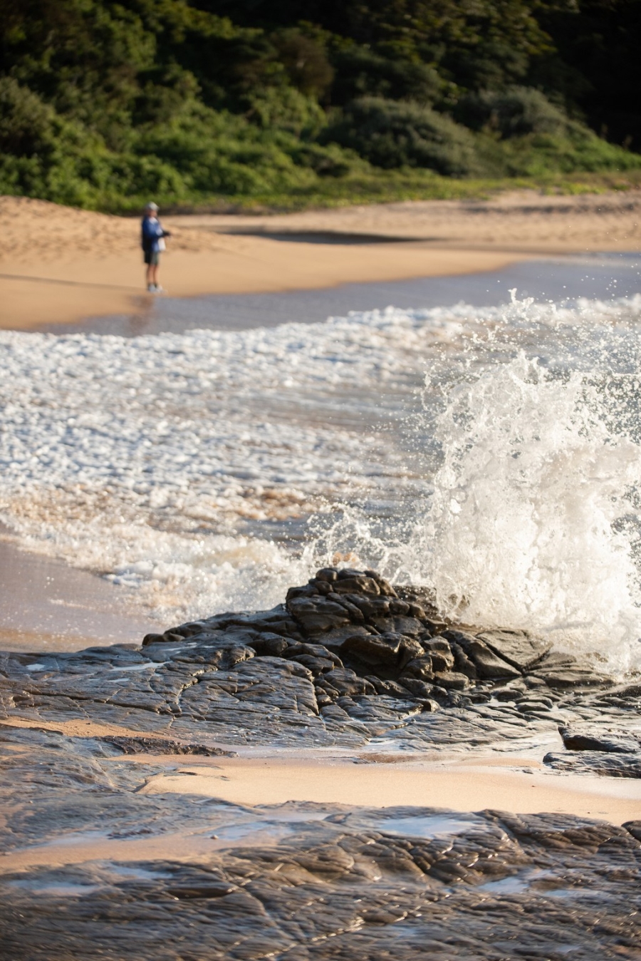 0 Bedroom Property for Sale in Seaton Estate KwaZulu-Natal