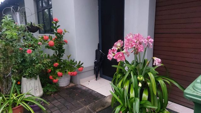 To Let 3 Bedroom Property for Rent in Mzingazi Golf Estate KwaZulu-Natal