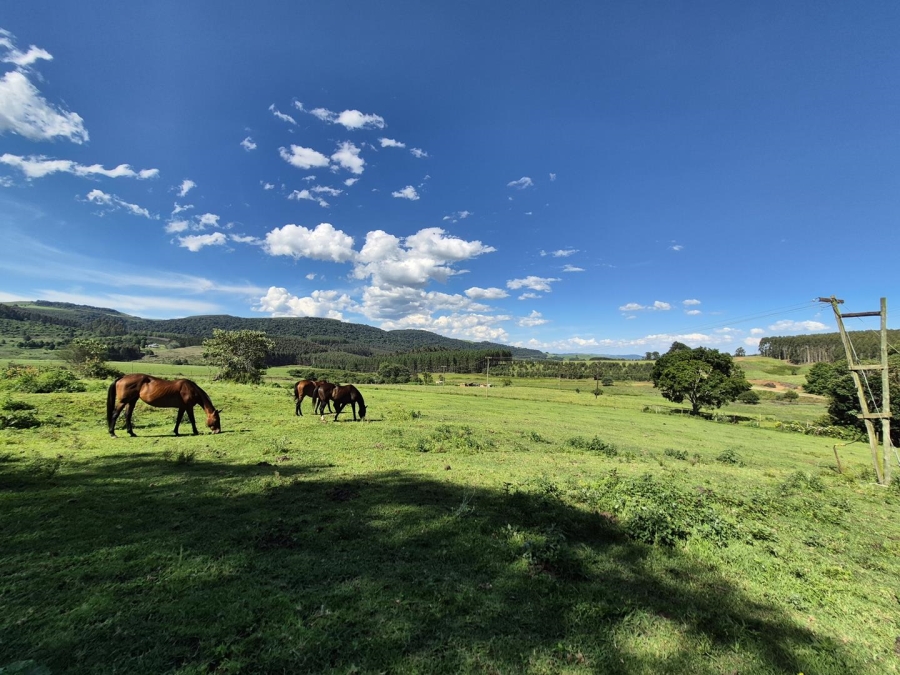 13 Bedroom Property for Sale in Dargle KwaZulu-Natal