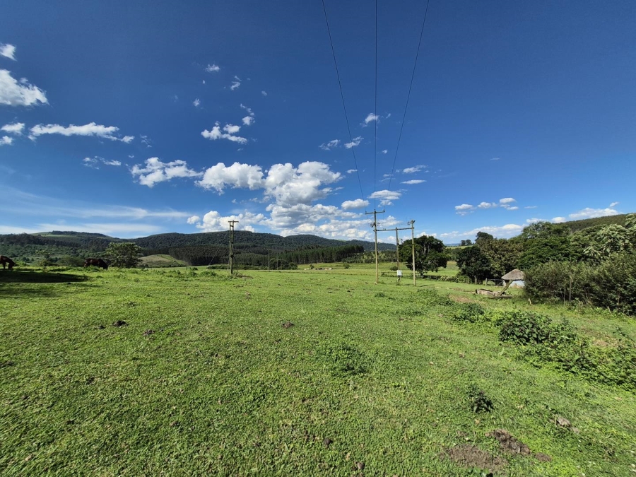 13 Bedroom Property for Sale in Dargle KwaZulu-Natal