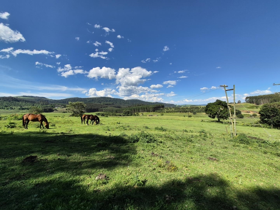 13 Bedroom Property for Sale in Dargle KwaZulu-Natal