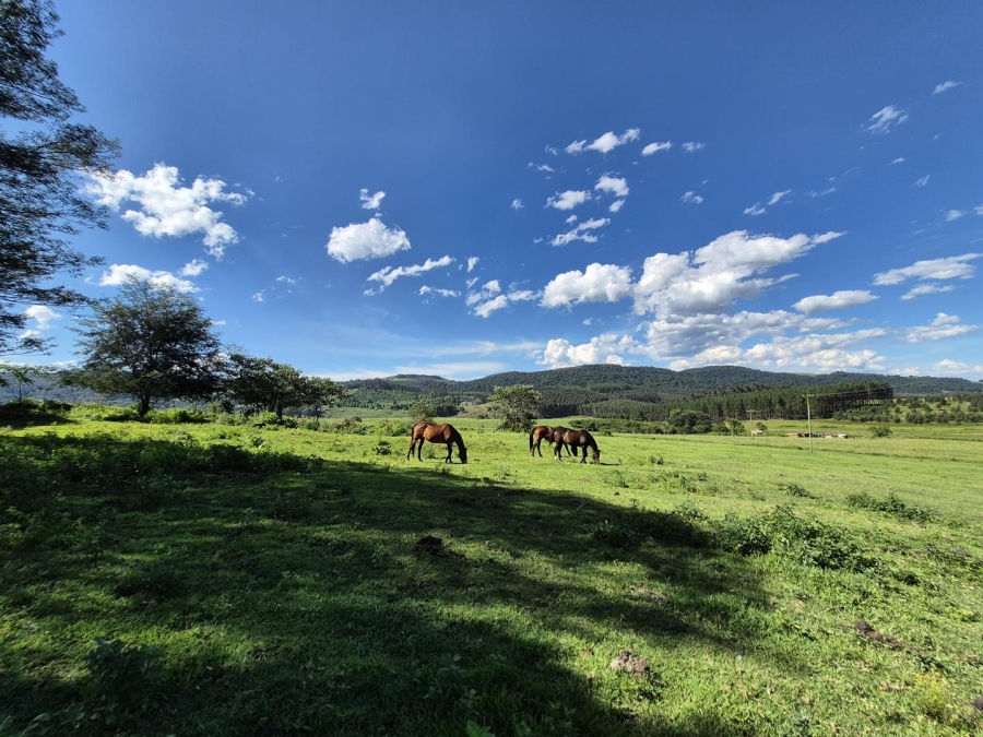 13 Bedroom Property for Sale in Dargle KwaZulu-Natal