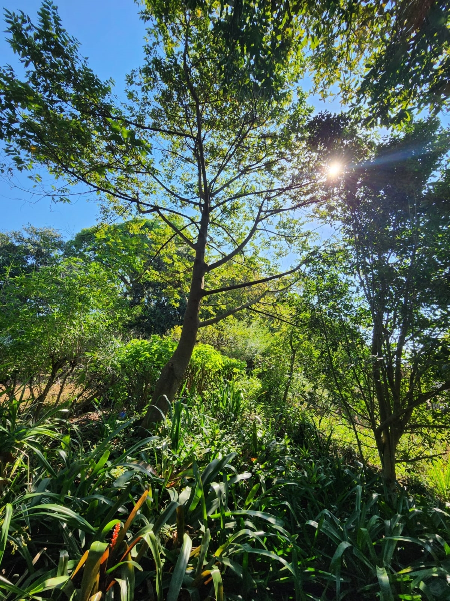 To Let 3 Bedroom Property for Rent in Waterfall KwaZulu-Natal