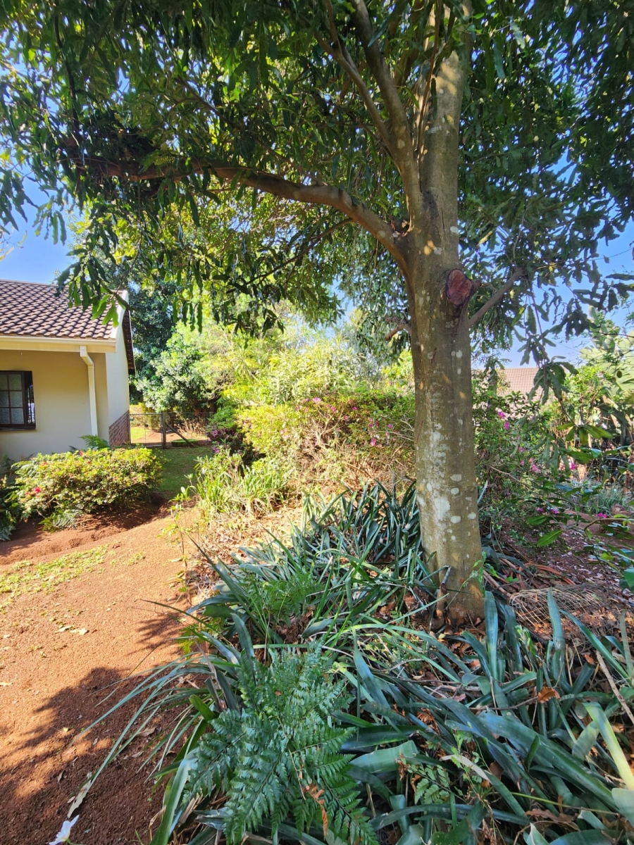 To Let 3 Bedroom Property for Rent in Waterfall KwaZulu-Natal