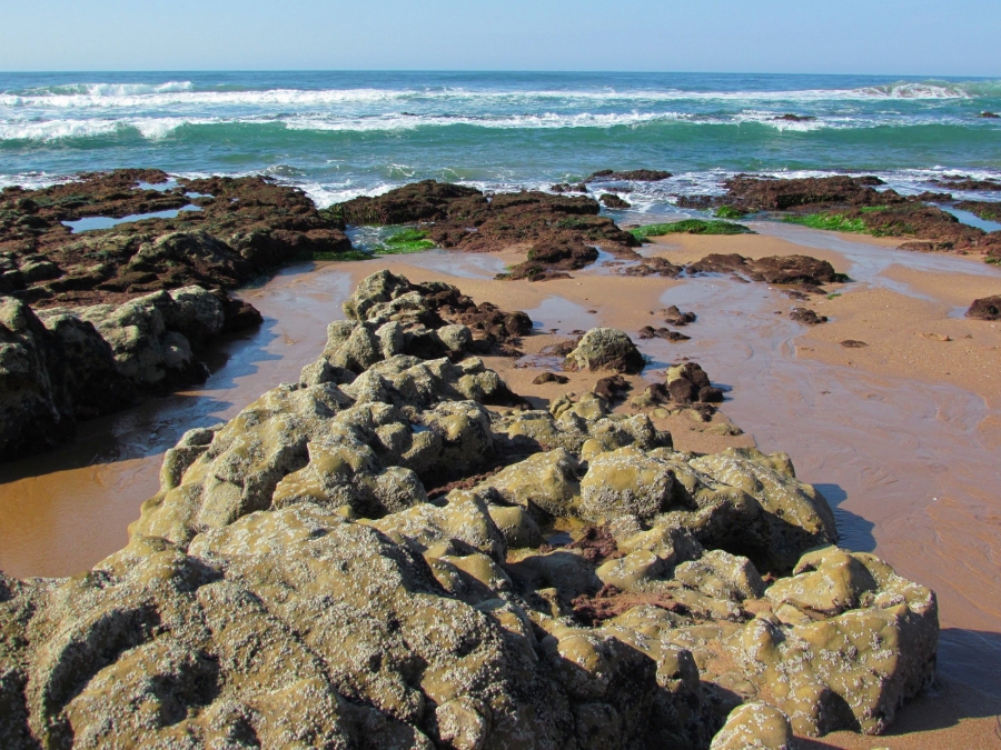 0 Bedroom Property for Sale in Zinkwazi Beach KwaZulu-Natal