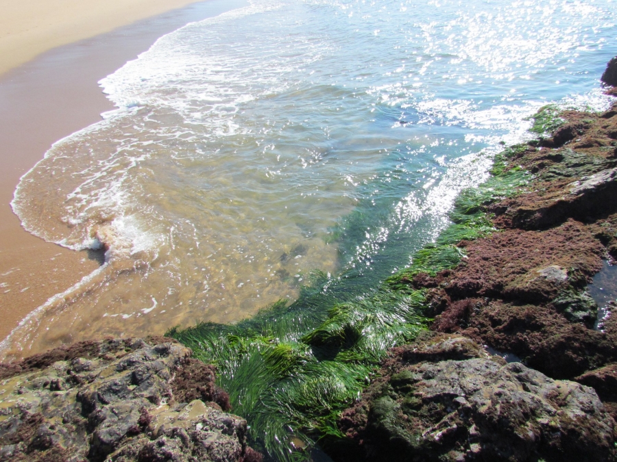 0 Bedroom Property for Sale in Zinkwazi Beach KwaZulu-Natal