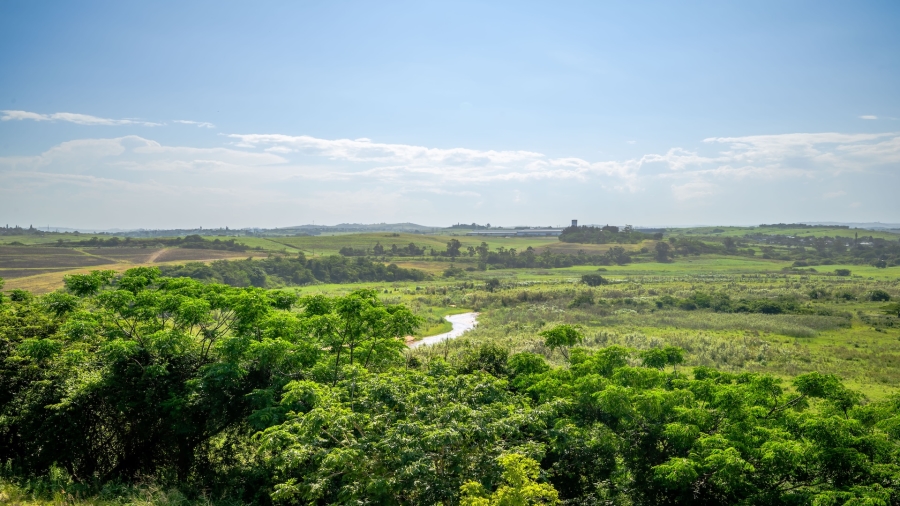 4 Bedroom Property for Sale in Palm Lakes Estate KwaZulu-Natal