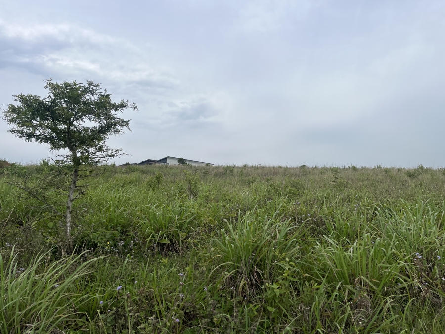 0 Bedroom Property for Sale in Springvale Country Estate KwaZulu-Natal