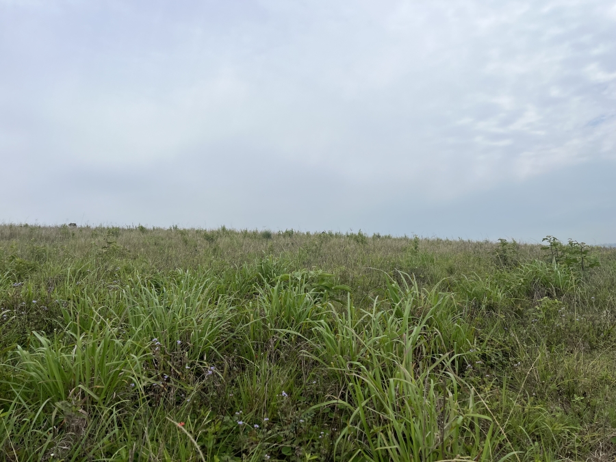 0 Bedroom Property for Sale in Springvale Country Estate KwaZulu-Natal