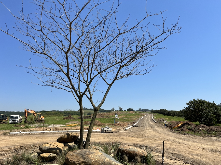 0 Bedroom Property for Sale in Ballito Central KwaZulu-Natal