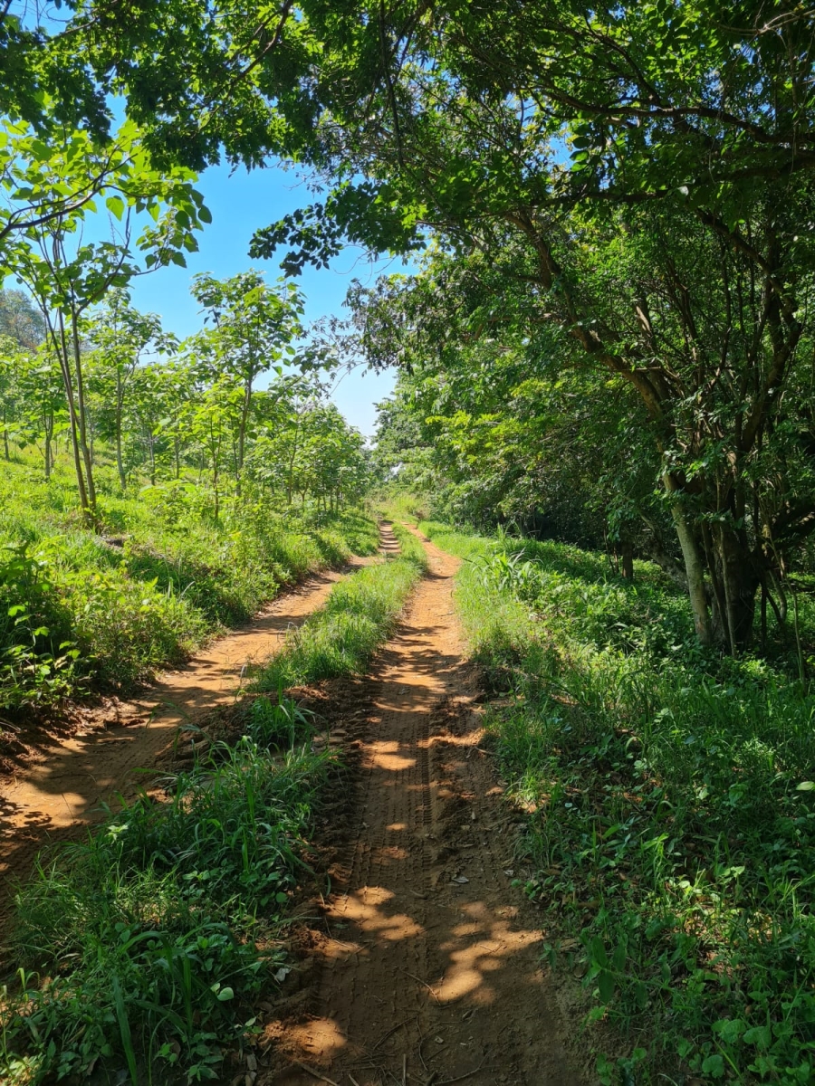 0 Bedroom Property for Sale in Ballito Central KwaZulu-Natal