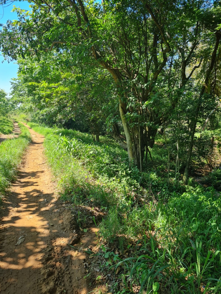 0 Bedroom Property for Sale in Ballito Central KwaZulu-Natal