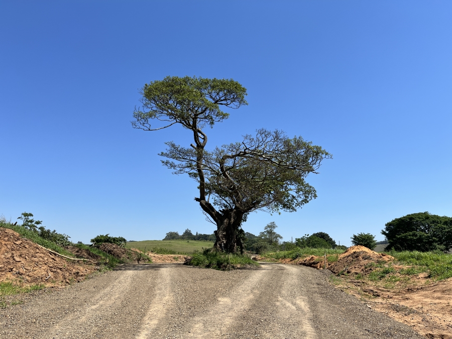 0 Bedroom Property for Sale in Ballito Central KwaZulu-Natal