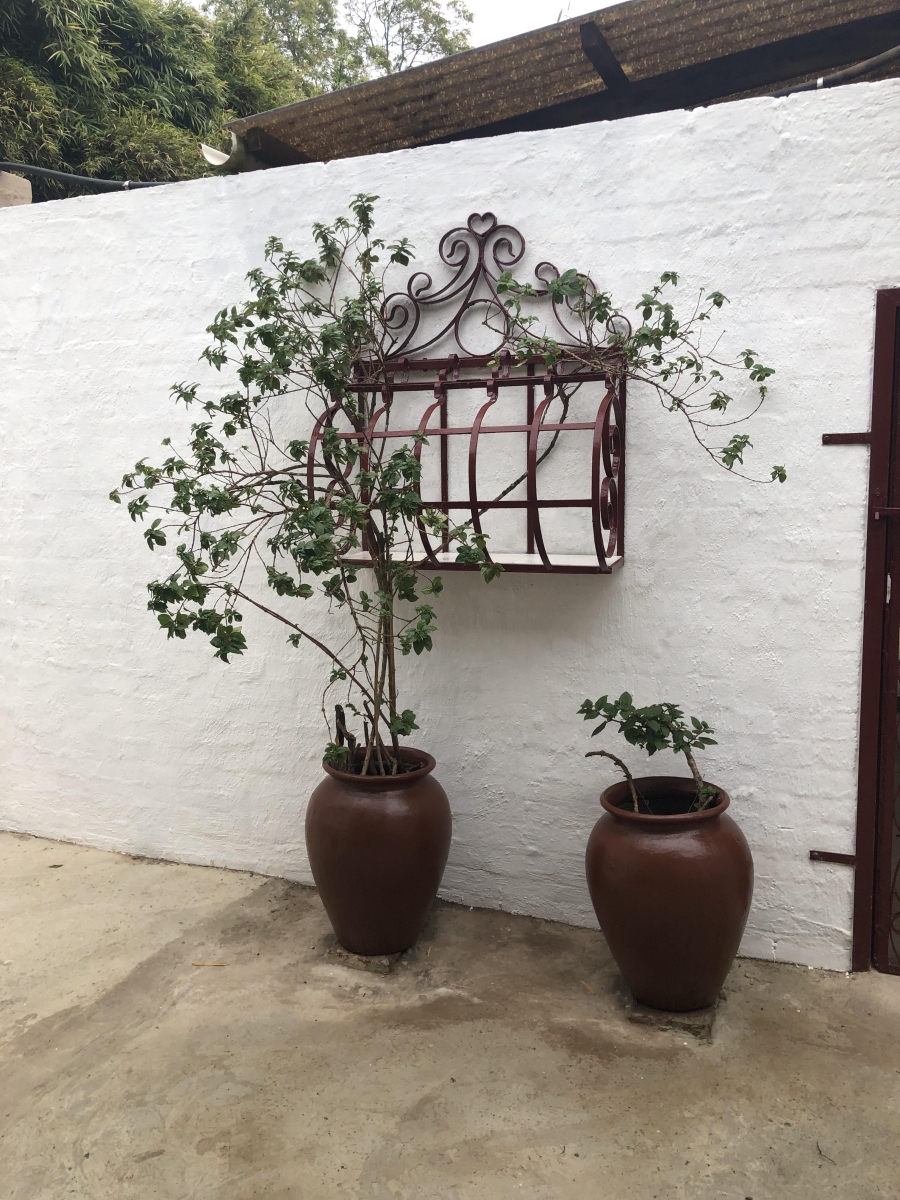 To Let 3 Bedroom Property for Rent in Howick Rural KwaZulu-Natal