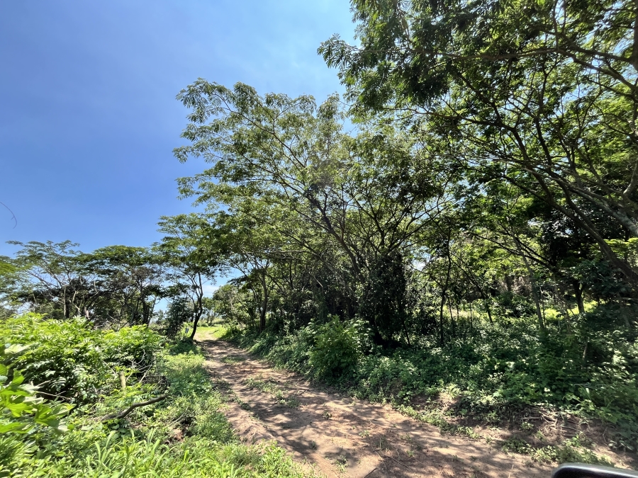 0 Bedroom Property for Sale in Seaton Estate KwaZulu-Natal