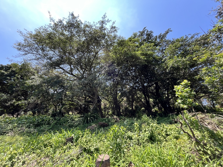 0 Bedroom Property for Sale in Seaton Estate KwaZulu-Natal