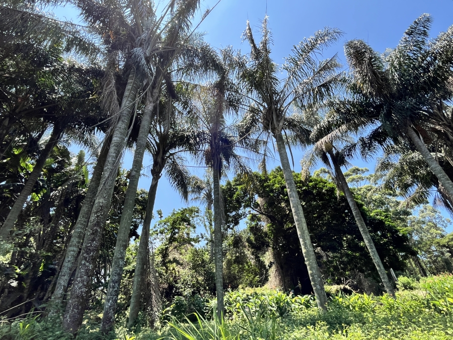 0 Bedroom Property for Sale in Seaton Estate KwaZulu-Natal