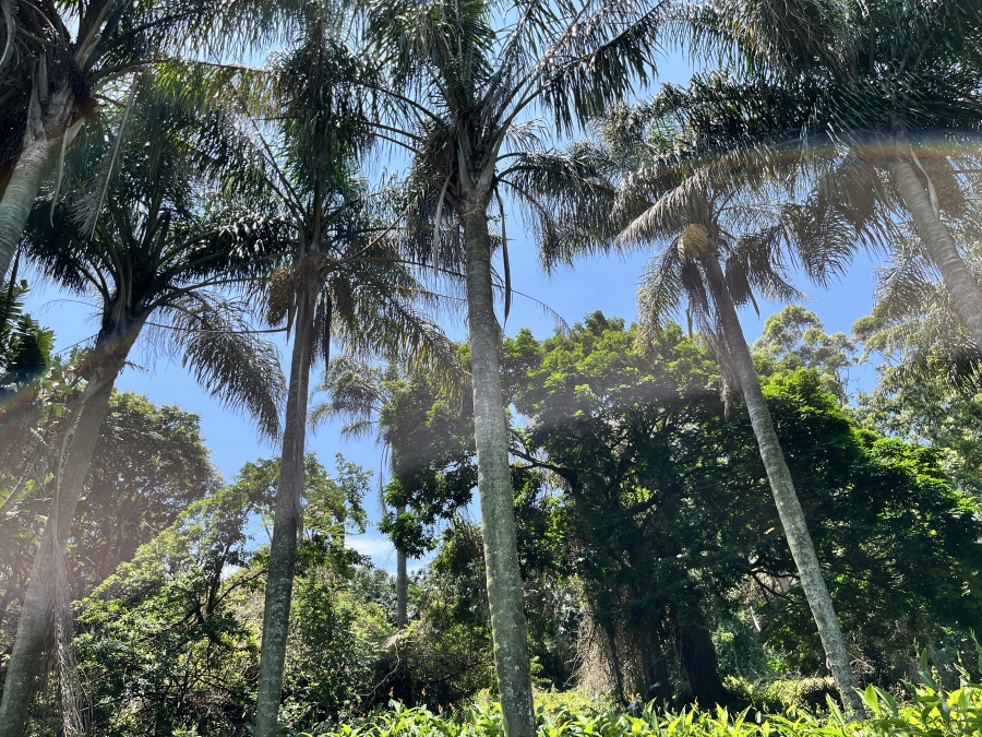 0 Bedroom Property for Sale in Seaton Estate KwaZulu-Natal