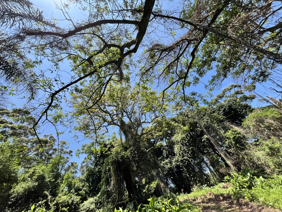 0 Bedroom Property for Sale in Seaton Estate KwaZulu-Natal