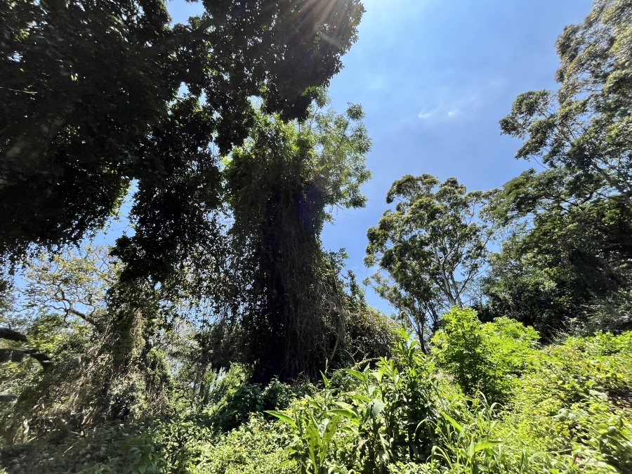 0 Bedroom Property for Sale in Seaton Estate KwaZulu-Natal