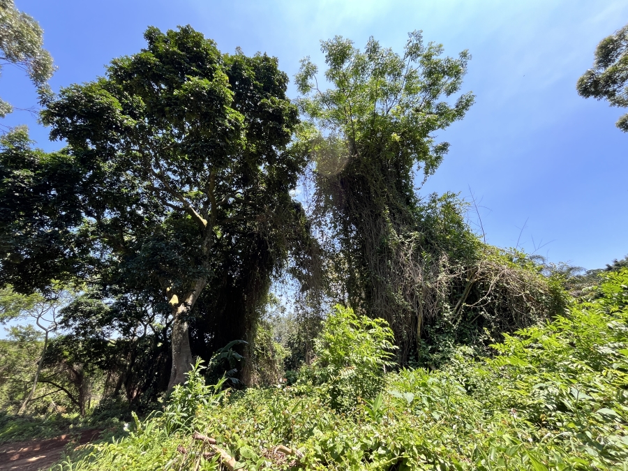 0 Bedroom Property for Sale in Seaton Estate KwaZulu-Natal