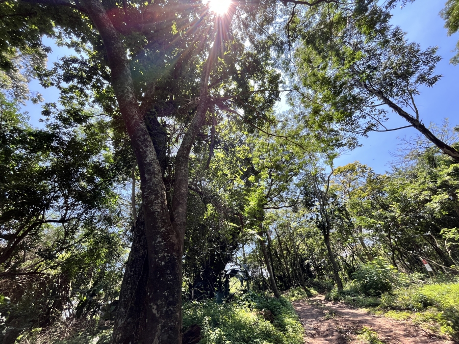 0 Bedroom Property for Sale in Seaton Estate KwaZulu-Natal