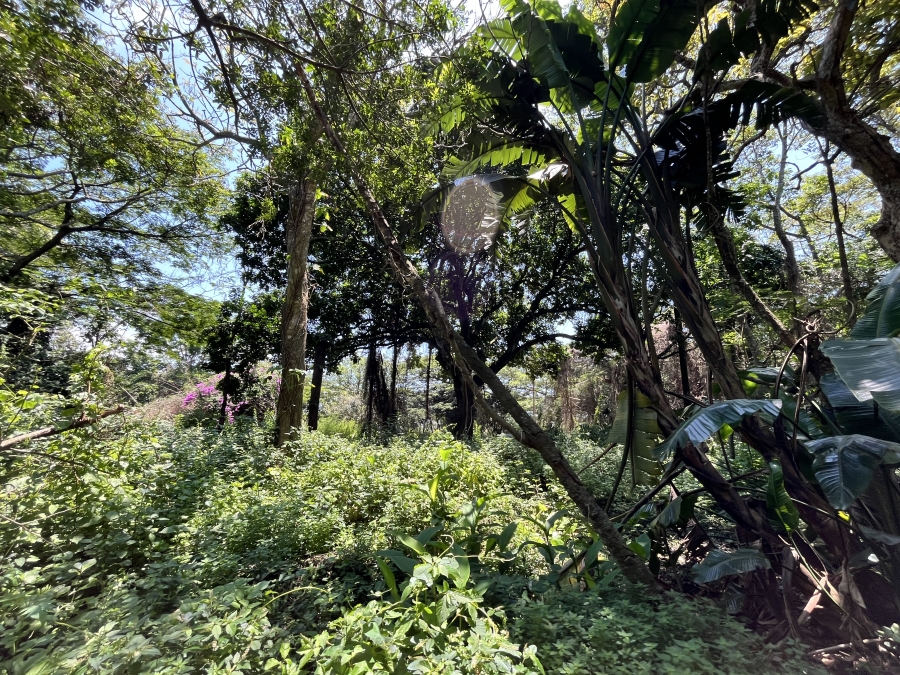 0 Bedroom Property for Sale in Seaton Estate KwaZulu-Natal