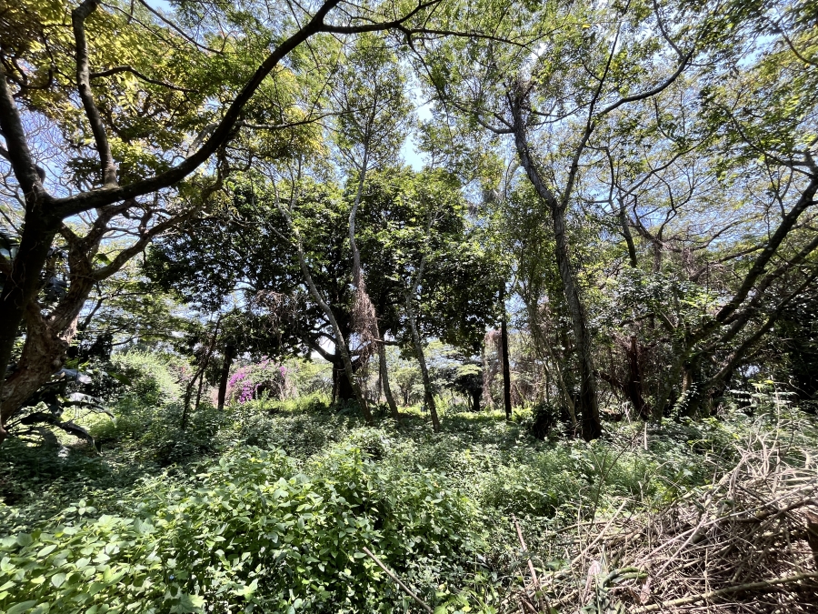 0 Bedroom Property for Sale in Seaton Estate KwaZulu-Natal