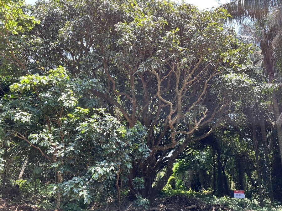 0 Bedroom Property for Sale in Seaton Estate KwaZulu-Natal