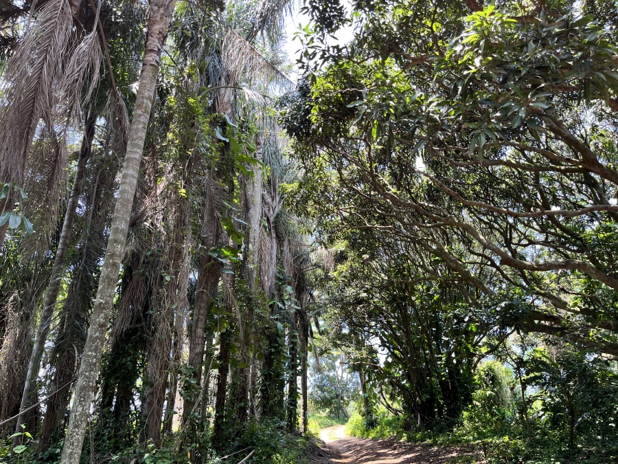 0 Bedroom Property for Sale in Seaton Estate KwaZulu-Natal