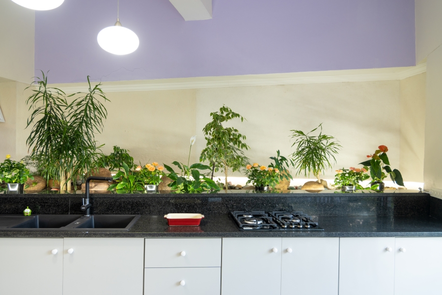 7 Bedroom Property for Sale in Zinkwazi Beach KwaZulu-Natal