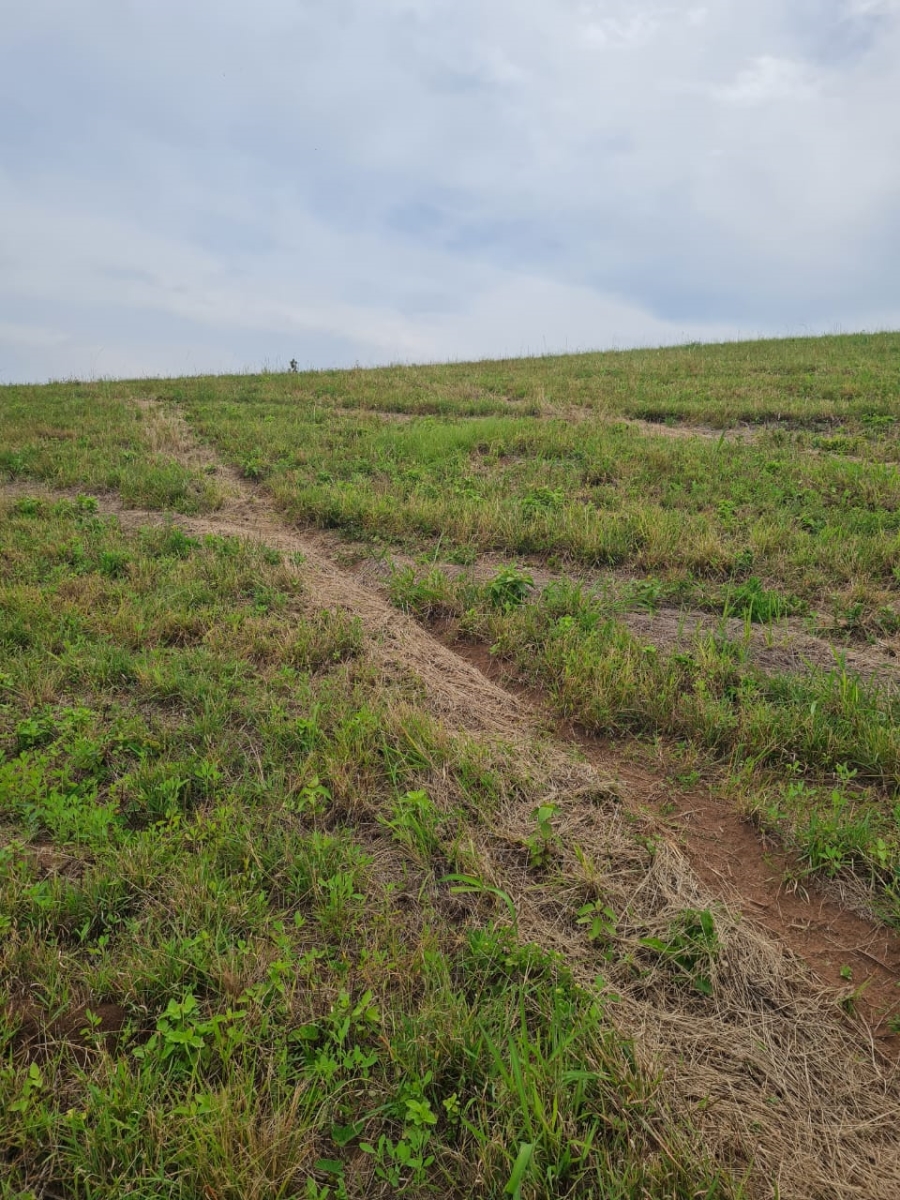 0 Bedroom Property for Sale in Ballito Central KwaZulu-Natal