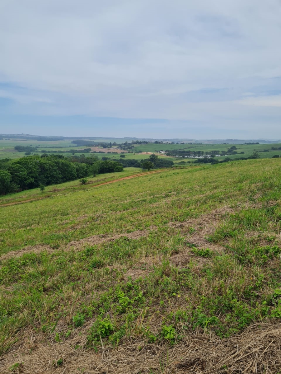 0 Bedroom Property for Sale in Ballito Central KwaZulu-Natal