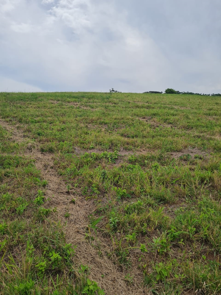 0 Bedroom Property for Sale in Ballito Central KwaZulu-Natal