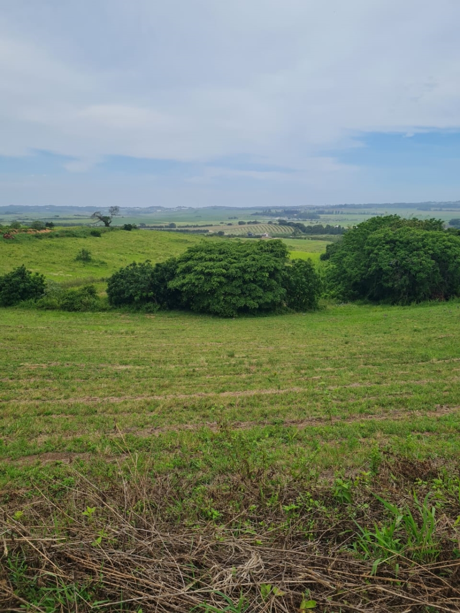 0 Bedroom Property for Sale in Ballito Central KwaZulu-Natal