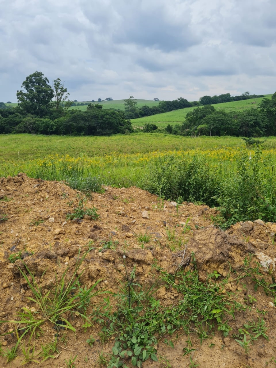 0 Bedroom Property for Sale in Ballito Central KwaZulu-Natal